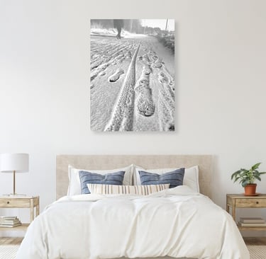 Canvas Print on a wall above a bed.