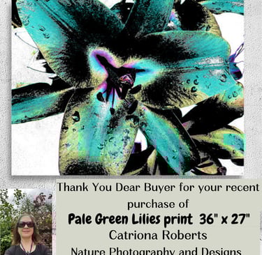 Digital image of floral art on a Canvas Print.