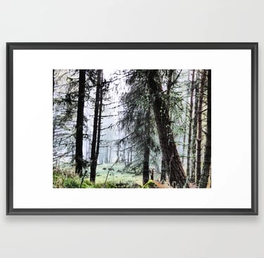Digital Image featuring the Framed Art Print Scottish Pine Forest Misty View in I Art and Afterglow.