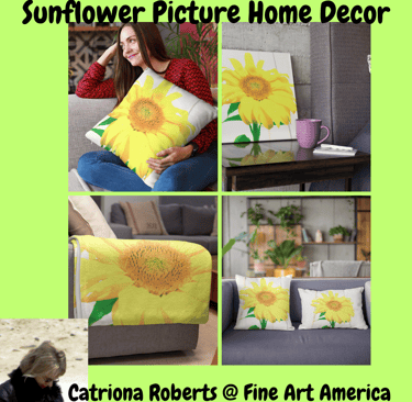 Digital images of a throw pillow, canvas print, fleece blanket & 2 throw pillows 
