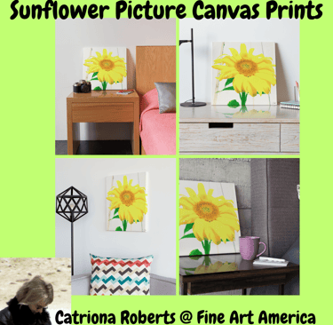 Digital images of canvas prints featuring the Sunflower Picture on a wall , bedside table and desk.