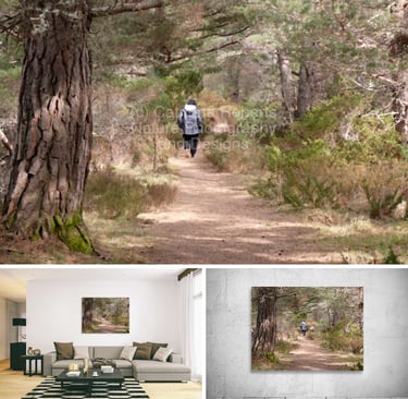 A person walking on a nature path through a forest.