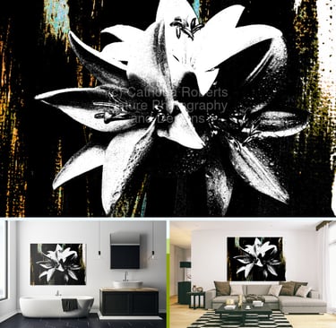 Digital image of 3 abstract monochrome lilies against a coloured abstract background  