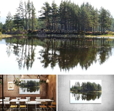A photo of a lochan above and on prints on café wall and exhibition wall below
