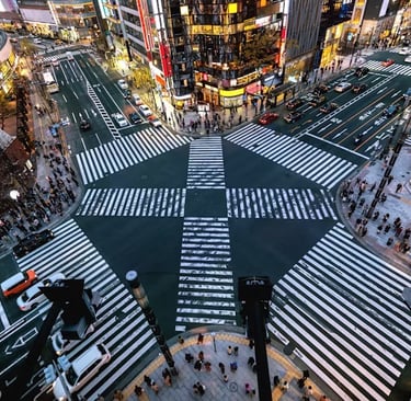 a city street scene with a crosswalk and a traffic light