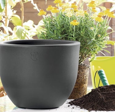 Elegir la maceta adecuada el ser o no ser de cada planta