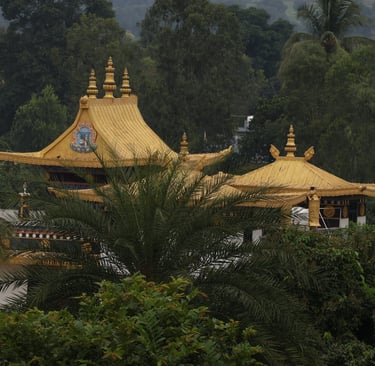 A far view of a Tibetan temple with yellow roofs, surrounded by trees and hills.