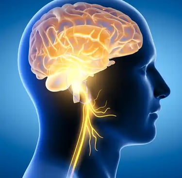 NEUROLOGY நரம்பியல்