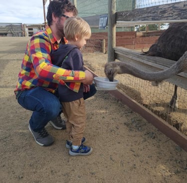 Kids feeding ostriches at OstrichLand USA in Solvang, California, a fun and family-friendly animal experience