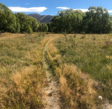 Start Where You Are Beginning Consultation