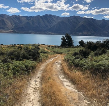Nature path symbolizing perinatal yoga support for mothers