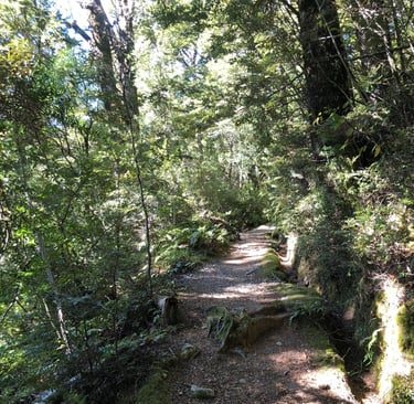 a pathway through pain and trauma 