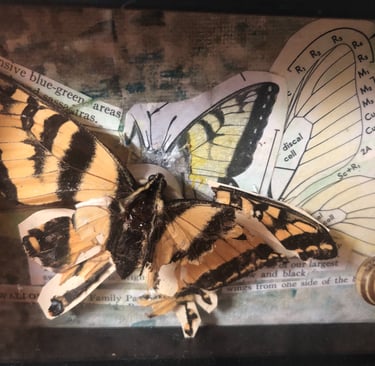 Reassembled monarch butterfly art piece representing healing and transformation
