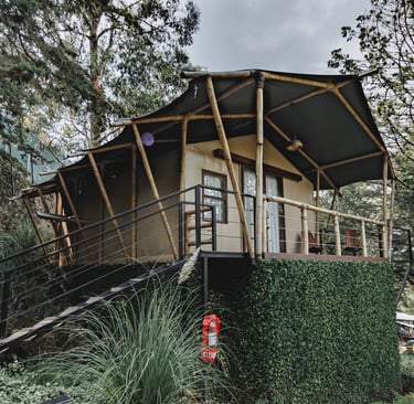 Conoce safari woodscape