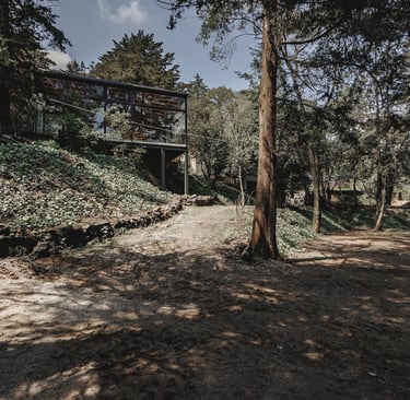 Terraza para eventos woodscape