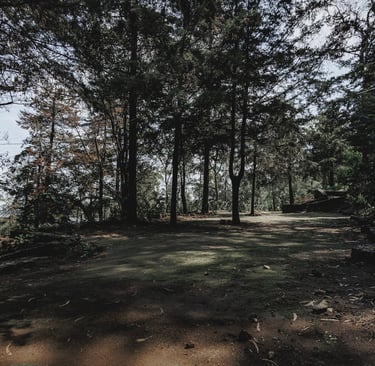 Terraza para eventos woodscape