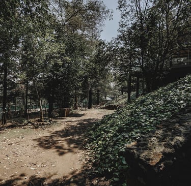 Terraza para eventos woodscape