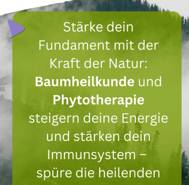 Die Basis zählt - Sanapendium