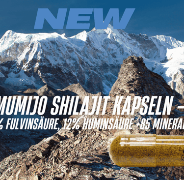 Mumijo Shilajit Extrakt Kapseln