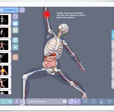 Ipad Anatomy App