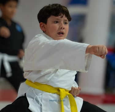 niño entrenando karate mejorando su concentración en narvarte