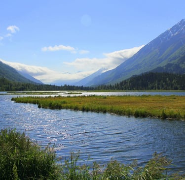 Summer trip ideas