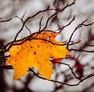 Fall Camping Safety Tips