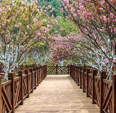 Spring break getaways