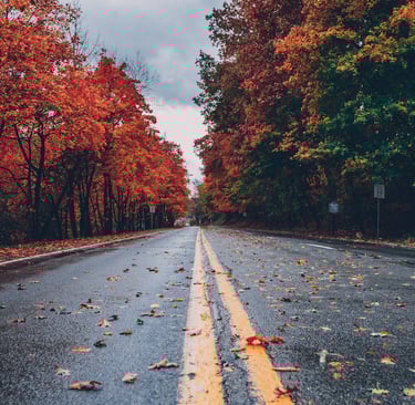 autumn scenes