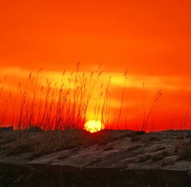 Peaceful sunrise places