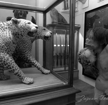 David Noir singe, face à deux panthères | "La peau sur les zoos" | Musée de la chasse et de la nature | Photo Zazoum Tcherev