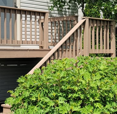 American Painting Specialist Fort Wayne, Indiana, deck cleaned and refinished.