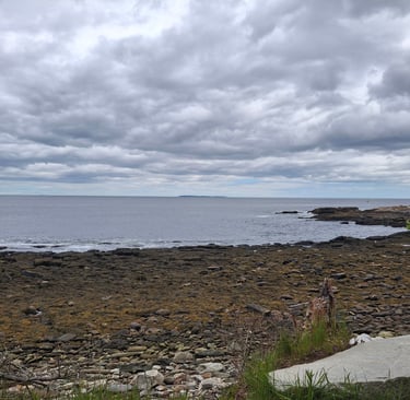 A photo showing the rocky Maine coast and ocean