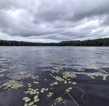 Dark clouds over a pond
