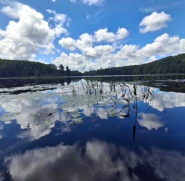 A favorite pond to paddle - mirror water and gorgeous clouds in a blue sky