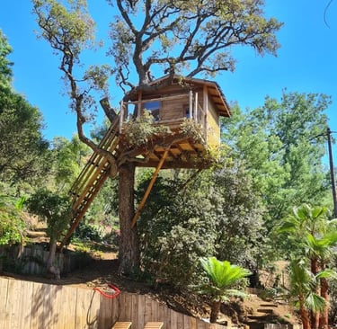 cabane dans les arbres au desus d'une piscine