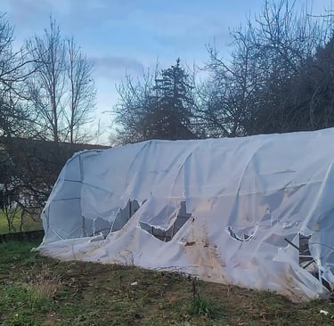 Serre Tunnel après passage d'une tempête