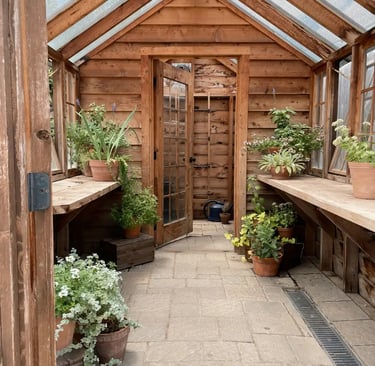 serre de jardin bois et polycarbonate