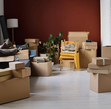 empresa de mudança em campinas