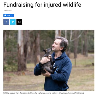 Fundraising For Injured Wildlife