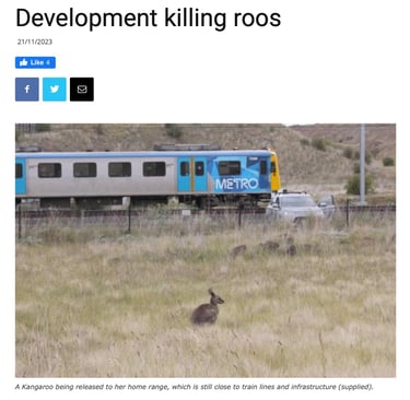 Development Killing Roos