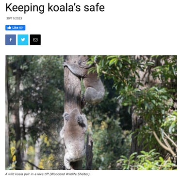 Keeping Koala's Safe