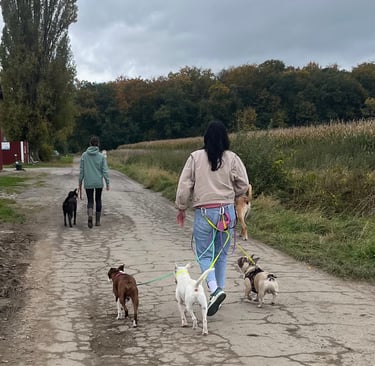 Social Walk auf einem Feldweg
