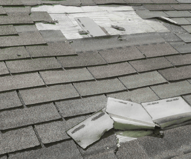 Shingles and roof repair