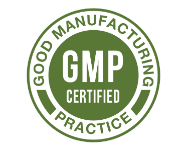gmp logo