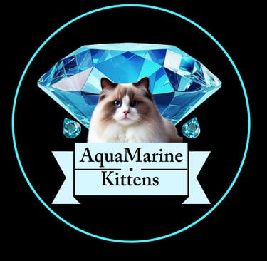 AquaMarine Kittens