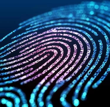 Digital Identity Expert Education