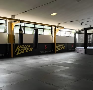 Tatame evA para arte marcial lutas MMA Jiu Jitsu