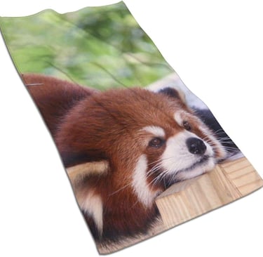 a red panda bear is laying on a wooden fence