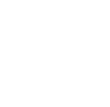 LYS Acupuncture logo